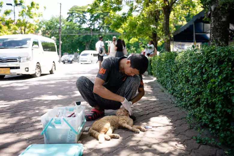 Veterinary performin basic madical care