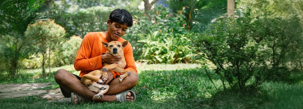 Dog with carer