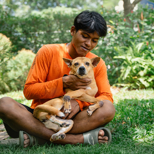 Dog with carer