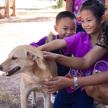 Thai local schoolgirl petting the street dog who visits their school every day