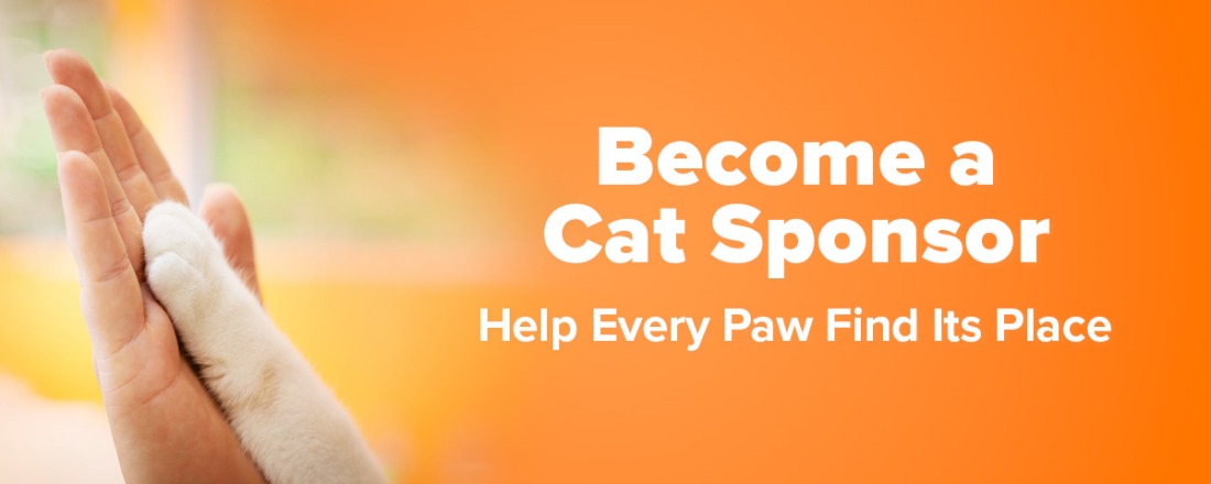 Become a Cat Sponsor