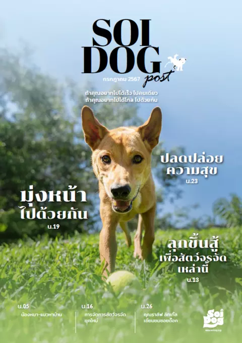 Soi Dog Post Thai 2024-07