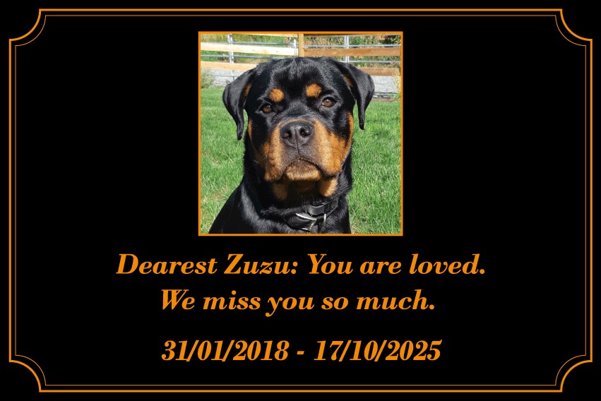 Memorial Plaque for ZUZU